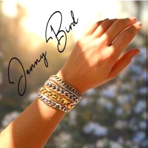Jenny Bird Silver and Gold Bracelet Set